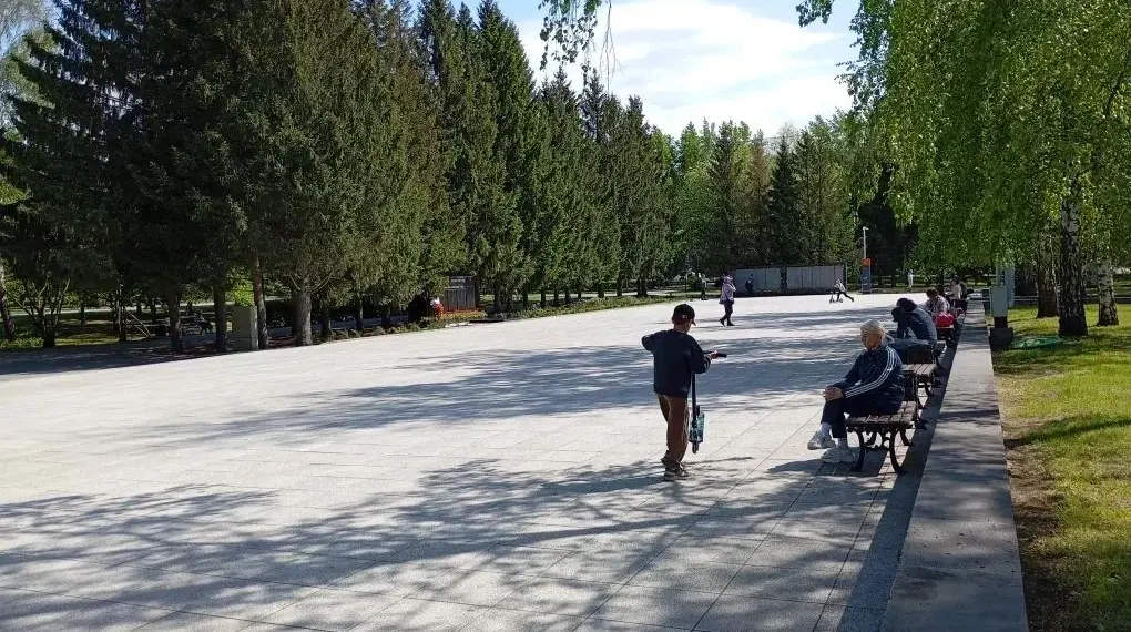 Родителей просят проверить детей на педикулёз в Новосибирске