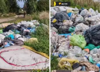 Горы мусора: пляж Обского моря в Новосибирске загрязнили отдыхающие