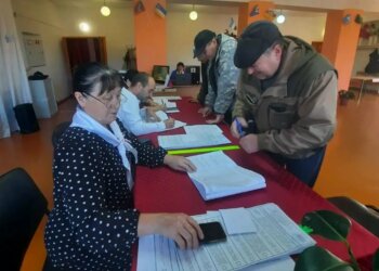 Выборы-2026 в Новосибирской области: явка к полудню третьего дня достигла 30,38%