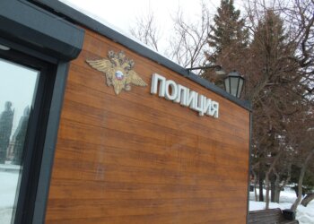 Новосибирские оперативники задержали мигрантку, избившую продавщицу в торговом центре