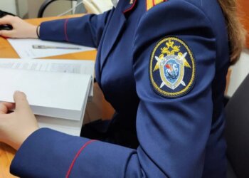 На Алтае 2-летний мальчик впал в кому после избиения отцом