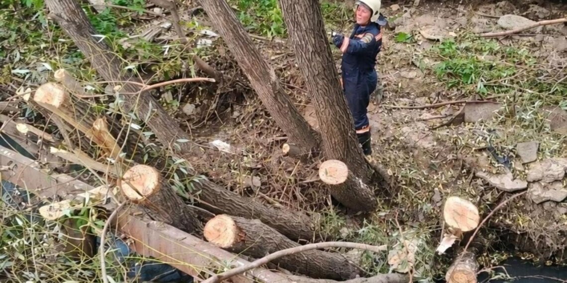 В Новосибирске река 1-я Ельцовка начала обрушать берег