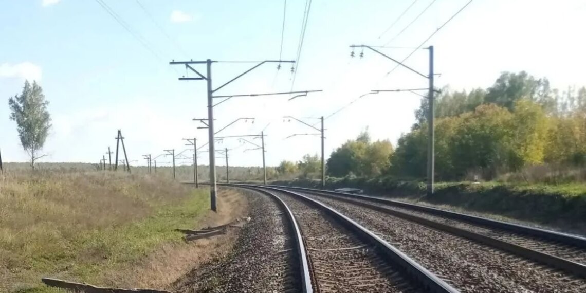 Пенсионер вышел из леса и погиб под колёсами поезда под Новосибирском