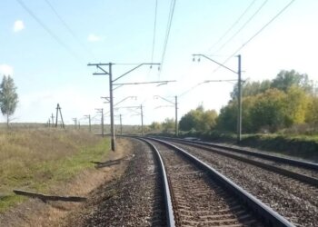 Пенсионер вышел из леса и погиб под колёсами поезда под Новосибирском
