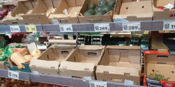 В Новосибирской области на продажу выставили 328 торговых точек