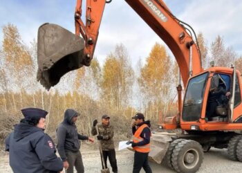 Двух иностранцев выдворили, а работодателей наказали за нелегальный труд в Новосибирской области