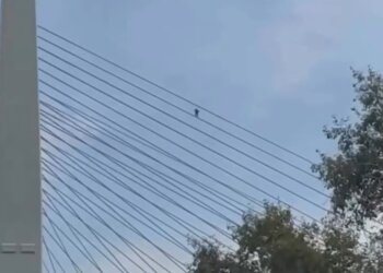 По вантам четвёртого моста в Новосибирске прогулялся человек