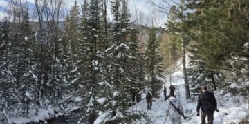 СК начал проверку после бесследного исчезновения сотрудника МЧС на Алтае