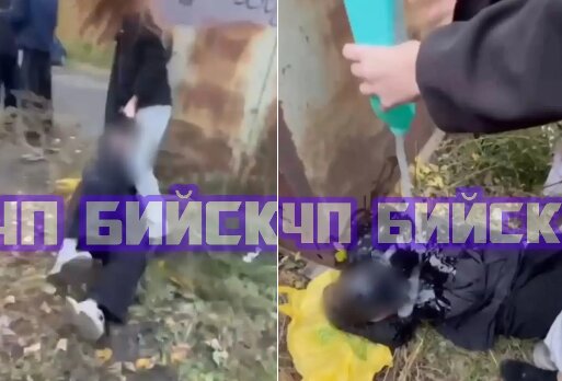 В Бийске подростки избили школьницу: СК возбудил дело
