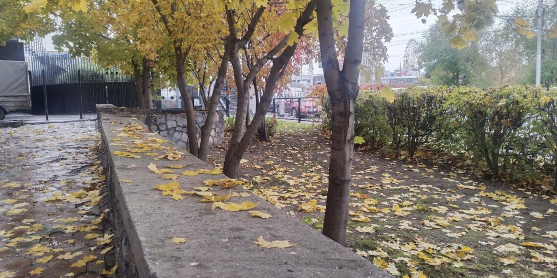 Выходные в Новосибирске будут холодными: днём не выше +2