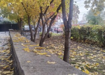 Выходные в Новосибирске будут холодными: днём не выше +2