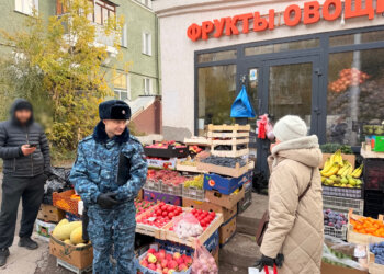 Приставы опечатали киоск, но новосибирец не растерялся и стал торговать рядом