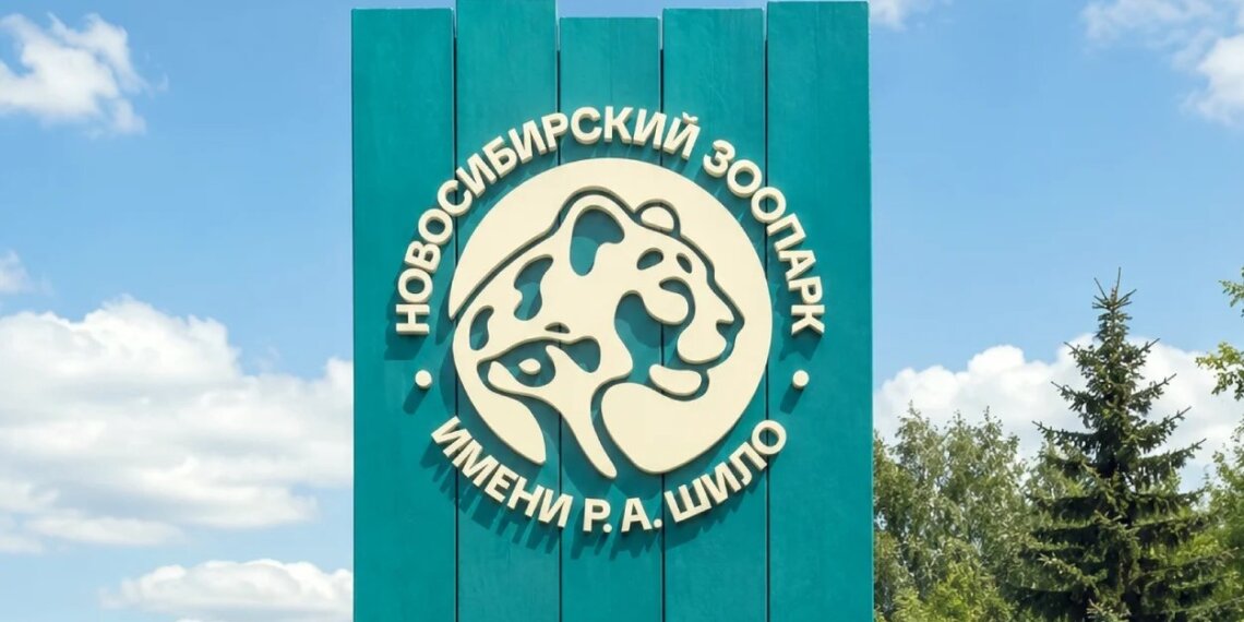 Новосибирский зоопарк показал новый логотип к 80-летию