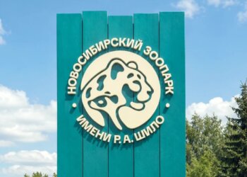 Новосибирский зоопарк показал новый логотип к 80-летию