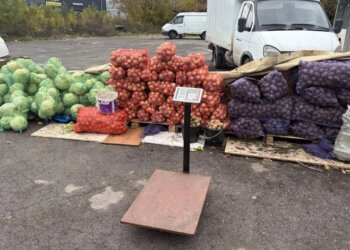 В Новосибирске у торговцев-нелегалов конфисковали почти 8 тонн овощей