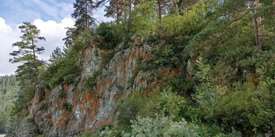 В пещере на Алтае обнаружен неизвестный науке вид копытного