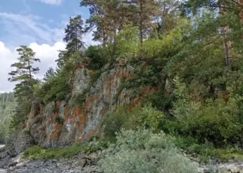 В пещере на Алтае обнаружен неизвестный науке вид копытного