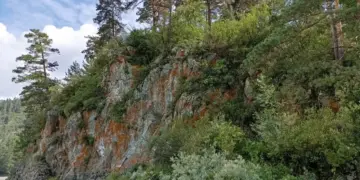 В пещере на Алтае обнаружен неизвестный науке вид копытного