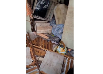 Медведь повредил домик главы Минусинска в тайге