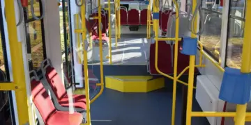 Медведь вышел на остановку общественного транспорта в Братске