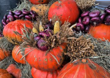 Семь продуктов, которые осенью особенно нужны организму