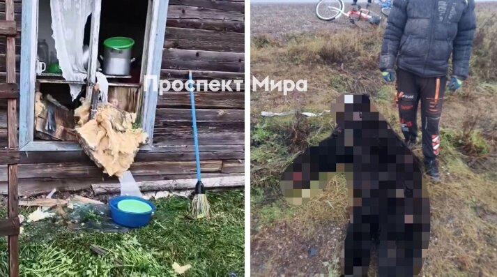 Медведь пытался проникнуть в частный дом в Красноярском крае