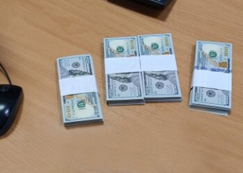 В Толмачево пассажир пытался вывезти в Душанбе почти 40 тысяч долларов: валюту нашел пес Бьёрн