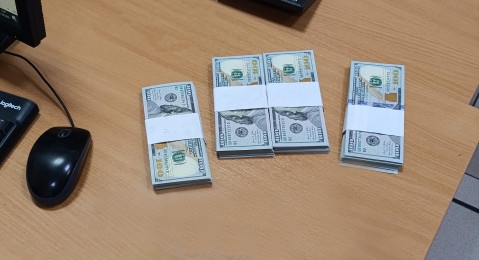 В Толмачево пассажир пытался вывезти в Душанбе почти 40 тысяч долларов: валюту нашел пес Бьёрн