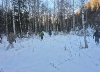 На Алтае для поиска пропавшего сотрудника МЧС задействовали дроны