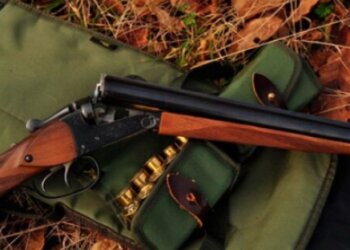 Бывший депутат и директор школы ранили сторожа во время охоты под Красноярском