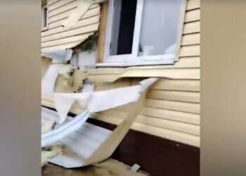 Медведь устроил погром в доме пожилой жительницы ХМАО