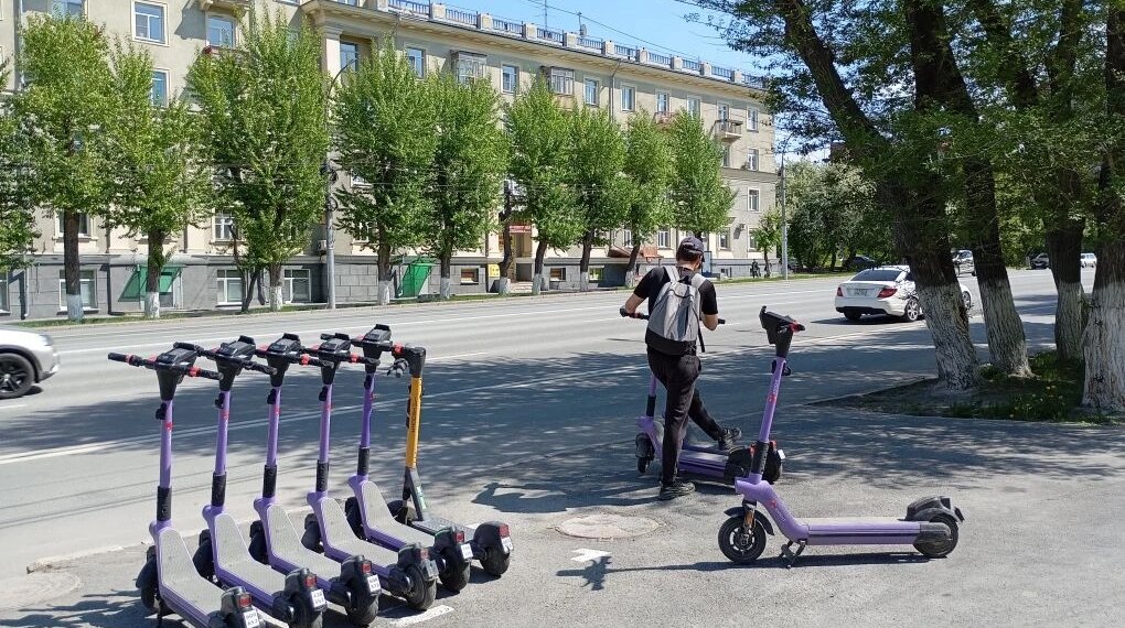 В Новосибирске внедрят верификацию возраста через мессенджер МАКС
