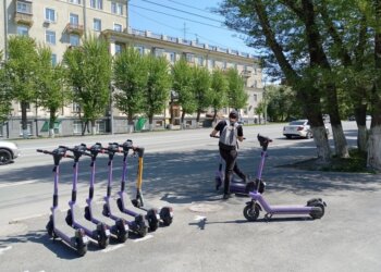 В Новосибирске внедрят верификацию возраста через мессенджер МАКС