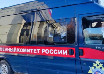 Стали известны подробности нападения медведя на 15-летнего подростка на Алтае