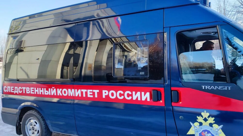 Стали известны подробности нападения медведя на 15-летнего подростка на Алтае