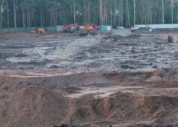 Новосибирцы собрали более 6000 подписей против застройки Соснового бора
