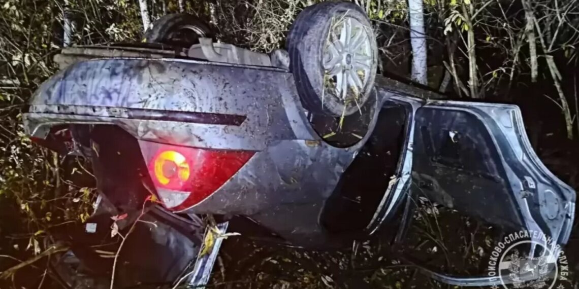 В Томской области в ДТП с участием медведя пострадали люди