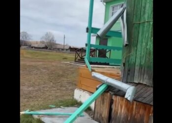 Медведь пытался пробраться в школьную столовую в Иркутской области