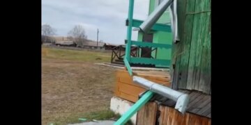 Медведь пытался пробраться в школьную столовую в Иркутской области