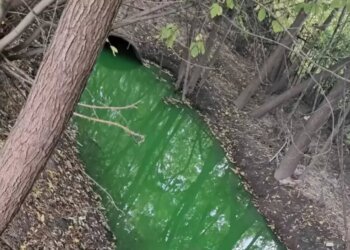 Река Тула в Новосибирске приобрела зелёный оттенок