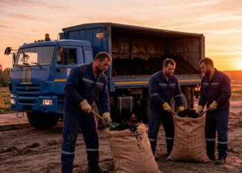 Продавцы земли алтайской: под Барнаулом мужчины украли тысячи тонн чернозёма