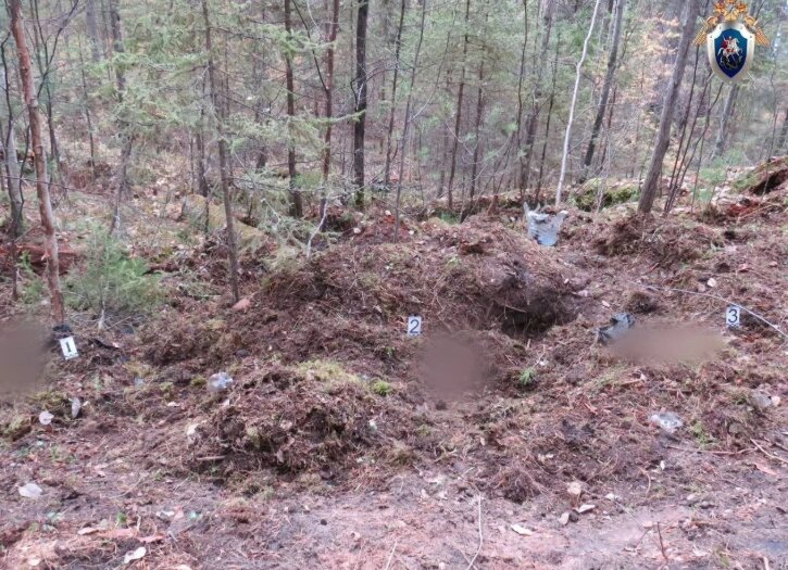 Ещё две жертвы медведей нашли в Иркутской области